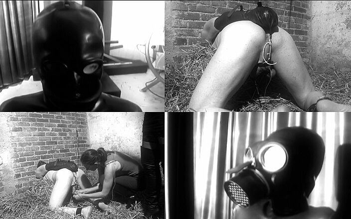 Deutsche Dominanz: Анальні розваги