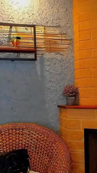 Pijpen seks in de kamer in live video