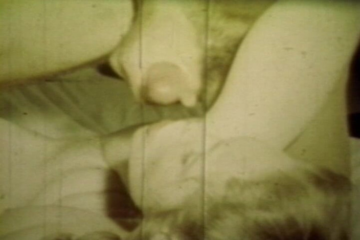 Lovers Of Vintage: Gastada sepia loop captura pareja retro rizada en pasión de...