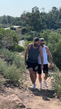 Hot Fuck in the Pine Forest