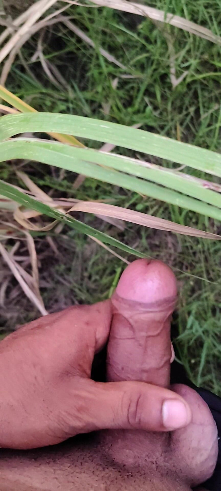 Desi x nexon: Melancap di ladang tebu