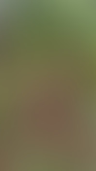 Fucked by a Farmer in the Bush