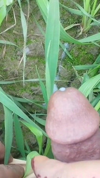 Experiment social XXX: un tip aleatoriu îmi linge pizda în aer liber