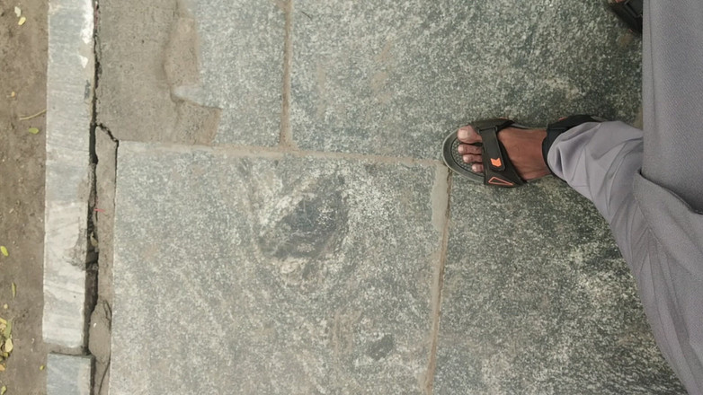 Tamil 10 inches BBC: Tamilteninches otobüs standında büyük zenci gösterisi