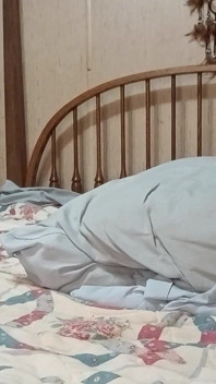 Istri eksibisianis lagi asik telpon