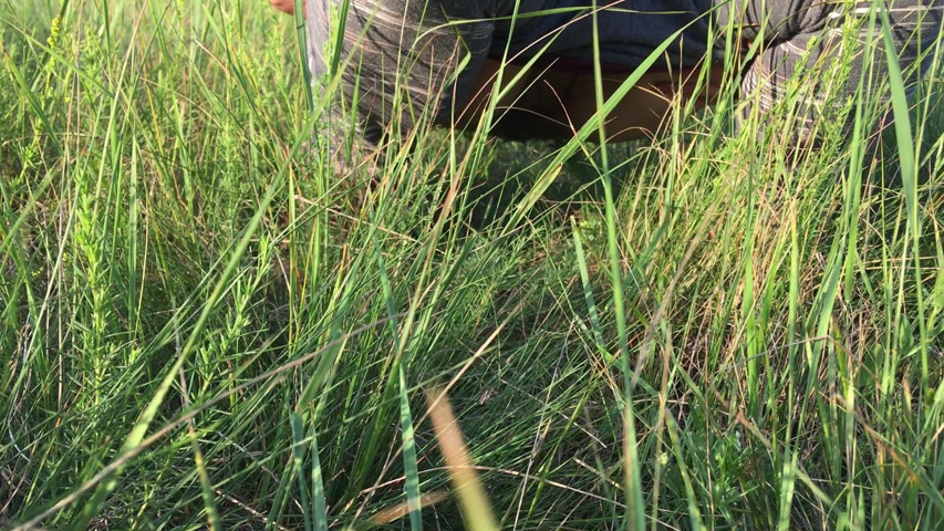 Peeing in the Grass in a Meadow (RiskyHairyCouple)