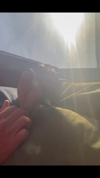 Pissing in Sunset
