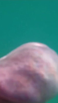 Naked in the Sea