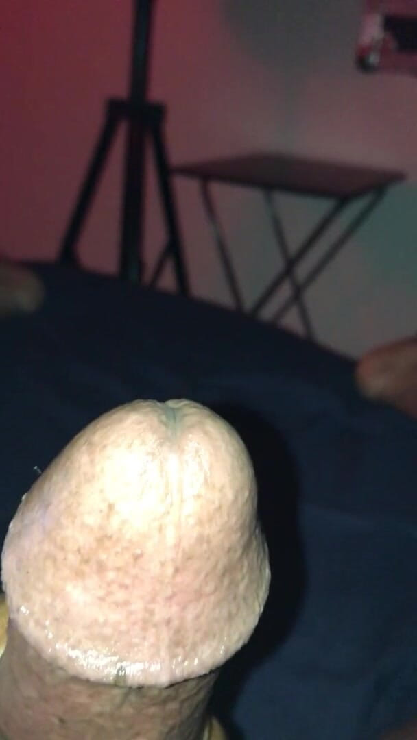 Harrypalms68: stejný ráz