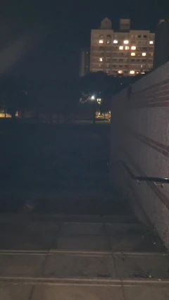 夜间公园露出者：暴露狂吉娜