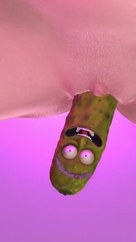 Pickle Rick Pickled That Ham