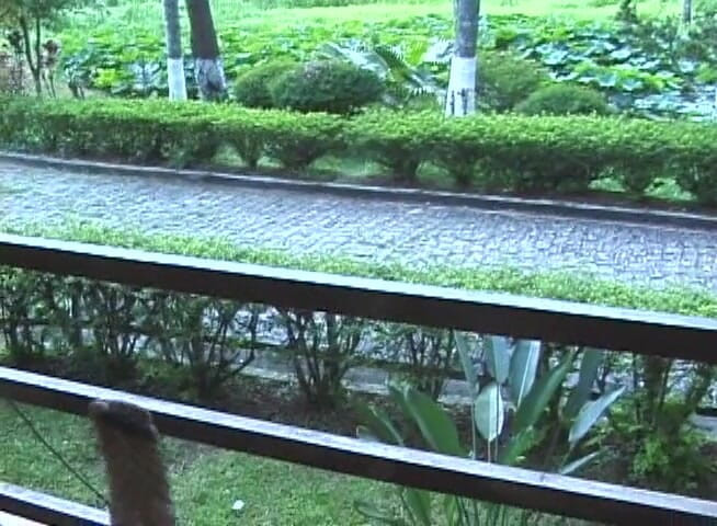 Chicks with Dix: Trans chick gets fucked and facialized outdoors