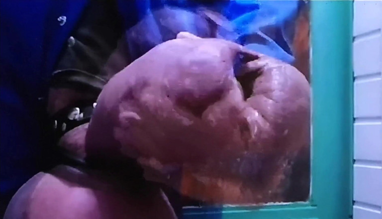 Monster_Meat_: Pancutan mani selepas pancutan mani