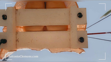 FoxyAleksa: Drobná nahá kundička na houpačce v parku. Masturbace v krátké...