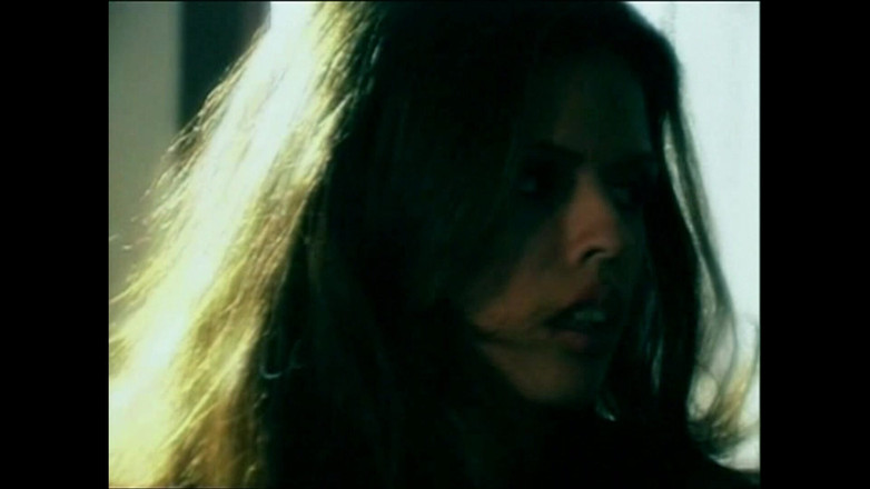 Hard Accademy: 에로틱 비극의 수줍은 사랑의 밤