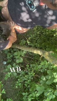 в районі Круенг у лісі