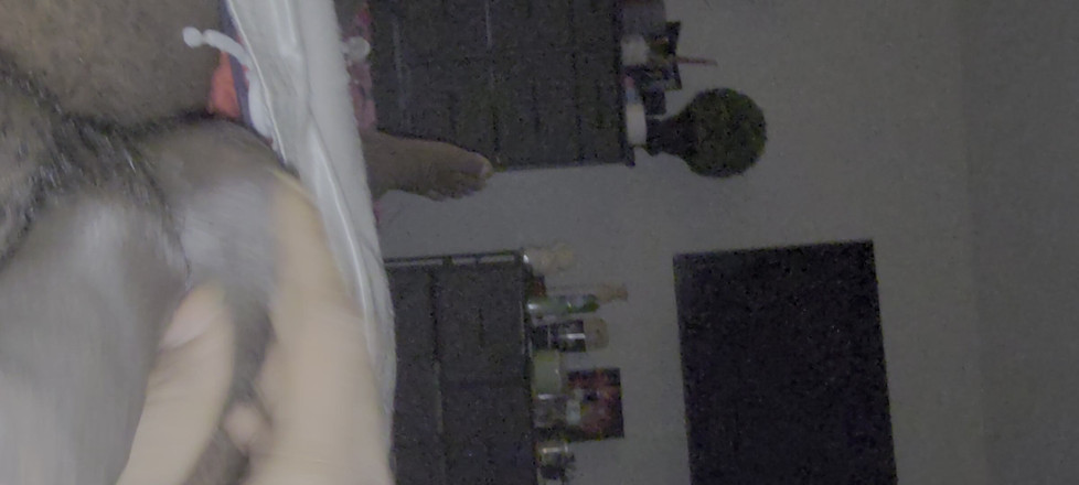 Javon761: एकल बीबीसी