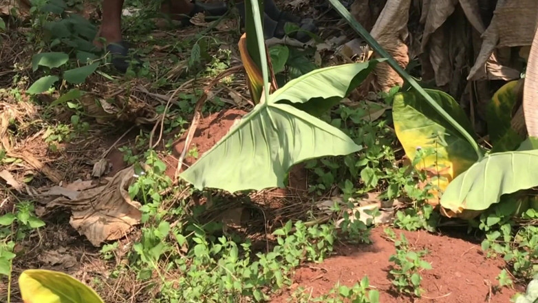 Amateur Teen Studio: 나는 수업에 늦었어, 나를 집으로 보내는 대신 날 따먹어