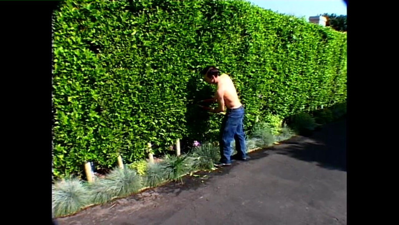 Heatwave Gay: Navždy rozkošná, část 1