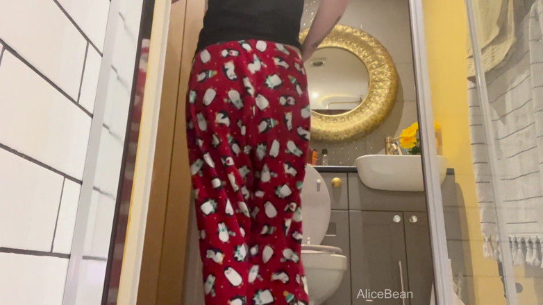 Alice Bean: Air Bnb Toaleta Peeker