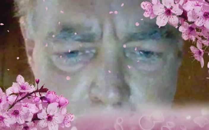 Who fucks my permanently horny anal cunt: Khuôn mặt của bố