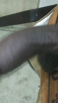 Tamil10inches Pertunjukan besar
