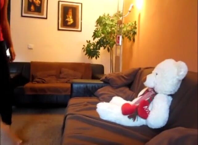 Femdom Austria: Two girl jumping on teddy bear