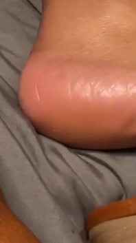 Brown Mule Tease