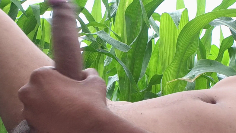 rkhydzstvcc: Världsomspännande viral desi hunk solo action del 4 - premium ansiktslös amatör...