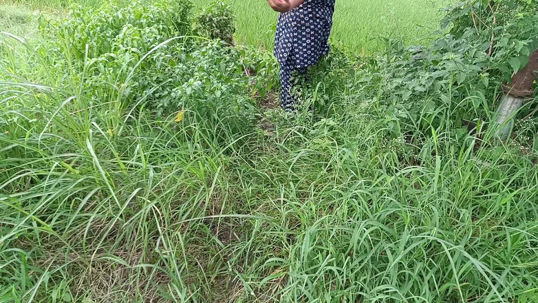 MHM: आउटडोर सेक्स वीडियो सबसे अच्छा देखा गया