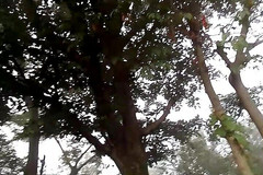 Gangbang straight: Priyansu的男孩在田野里自慰