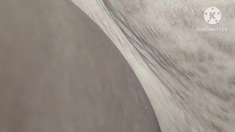 Anita yadav: mertua ipar mana yang mana dan ibu mertuanya?