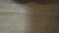 In the Shell on the Ceiling