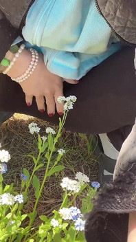 ケアのためのおしっこ花の木