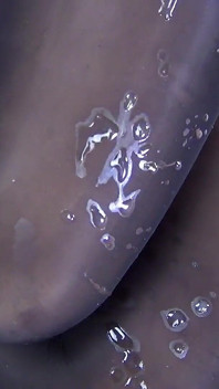 Dry cleaning is always busy with work, tights are always in sperm