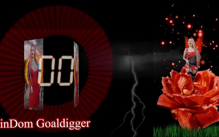 FinDom Goaldigger: Une bimo muette se fait baiser