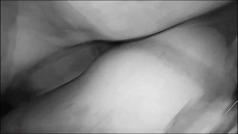 Lily & Theo: Noir et blanc. Une MILF trompe son mari avec le...