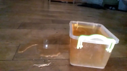 Sexy Milf: Huge piss from Kate!!!
