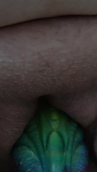 The Continuation of the Small Impression, with My Colorful Dragon Dildo.