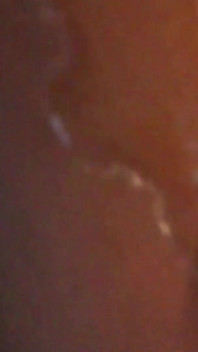 Hooters fuck and blowjob pantyhose nylon