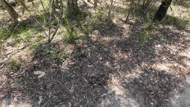 Mr LDN Lad: Я був на прогулянці і помітив двох повій, щоб заповнити