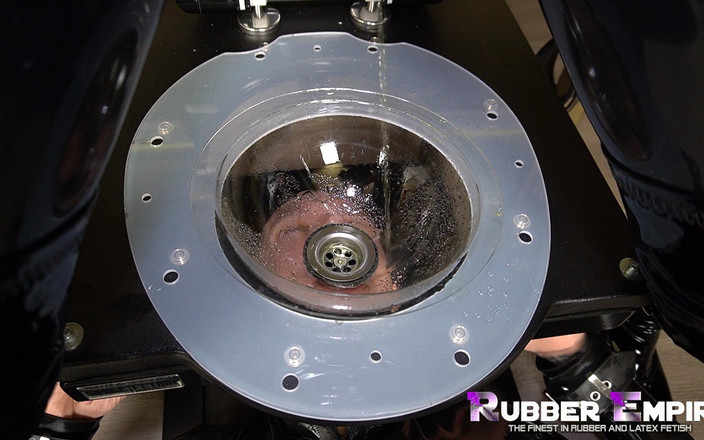 Amator Media: Образование для резинового туалета