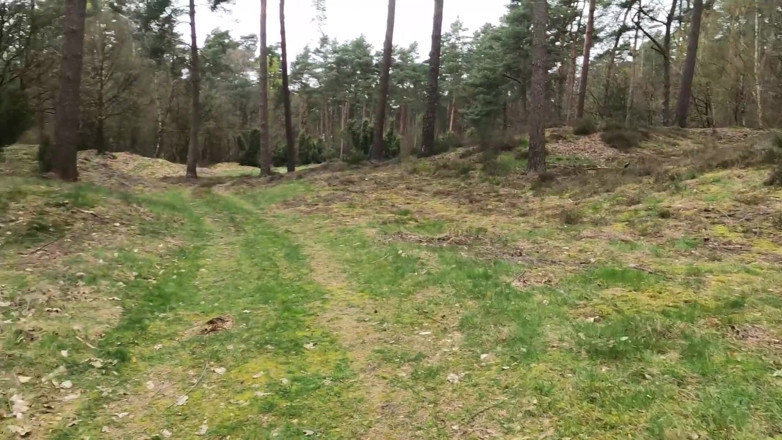 Bikergirl_97: My First Outdoor Fuck with Facial Insemination