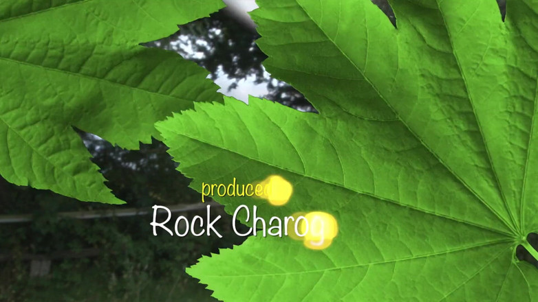Rock Charogne: Carmel Anderson na Fazenda Cuntry