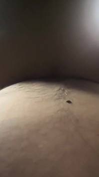 Yummy Jimmy and Slutty Kitty Sneak in the Car to Fuck