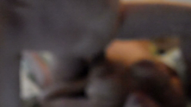 Sex hub couple: John Cums All Over Jens Boobs