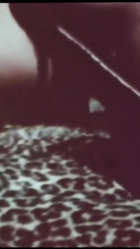 Porno vintage teatro erotico retrò - bruna paradisia cagna