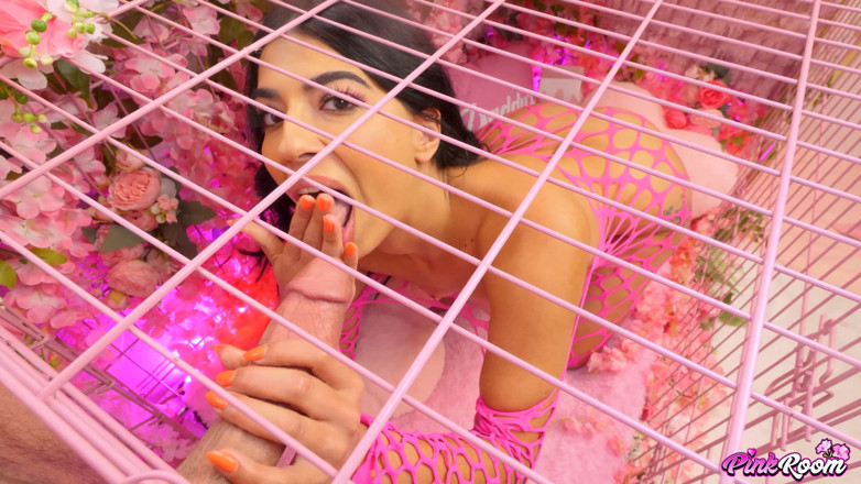 Nasty Sluts Studios: Pink Room ep.40: jasmine sherni prajanan ke lie bhikh mangti...