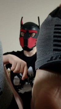 Playful Pup Tease Tickles Crotch Close