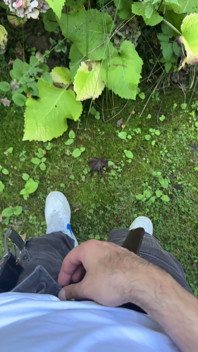 Golden Stream: Peeing in Paradise